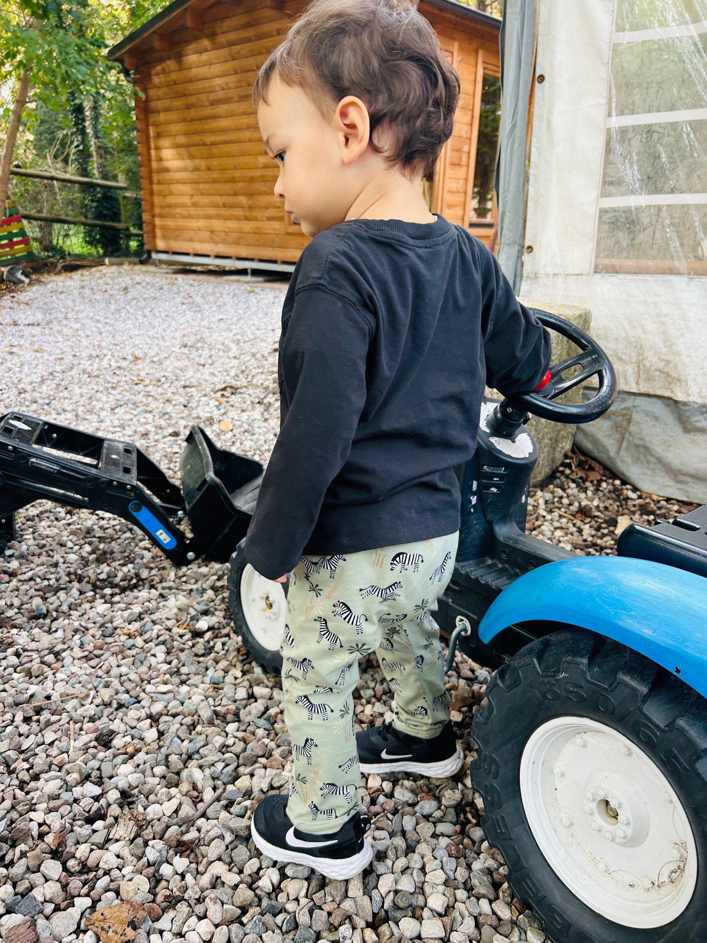 Pantalone in jersey ZEBRE